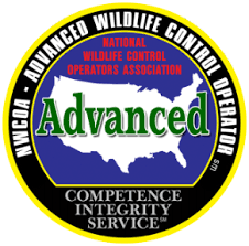 NWCOA Advanced Wildlife Control Operator in Massachusetts
