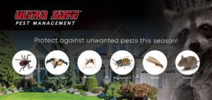 Home Pest Protection In Massachusetts