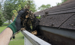 Clean Clogged Gutters